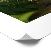 Poster Kagu Kobudo (Coin)