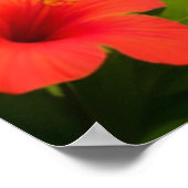 Poster Kagu Mamoru Kun (Coin)