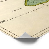 Poster Kahoolawe, Hawaii (Coin)
