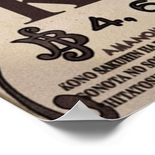 Poster Kaido Recherché Bounty (Coin)