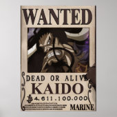 Poster Kaido Recherché Bounty (Devant)