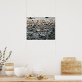 Poster Kailua Kona, Big Island, Hawaii, USA (Cuisine)