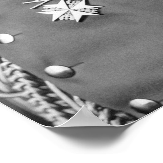 Poster Kaiser Wilhelm II Portrait - 1902 (Coin)