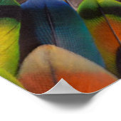 Poster Kaléidoscope à plumes Lovebird (Coin)