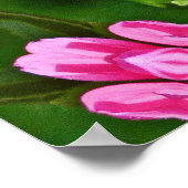 Poster Kaleidoscope Aster (Coin)