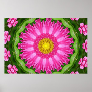 Poster Kaleidoscope Aster