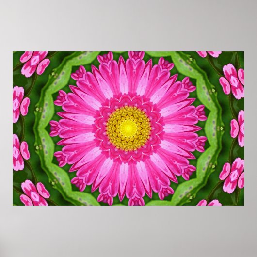 Poster Kaleidoscope Aster (Devant)