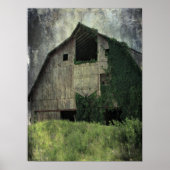 Poster Kalona Barn et Ivy (Devant)