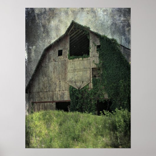 Poster Kalona Barn et Ivy (Devant)