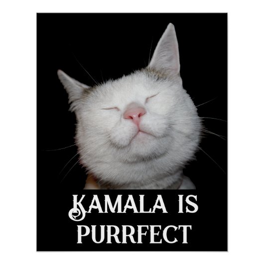 Poster Kamala est parfait (Devant)