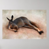 Poster Kangaroo (Devant)