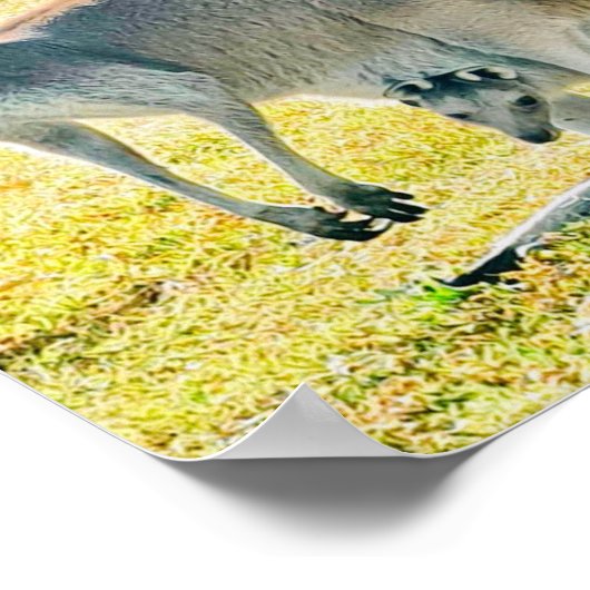 Poster Kangaroo et bébé (Coin)
