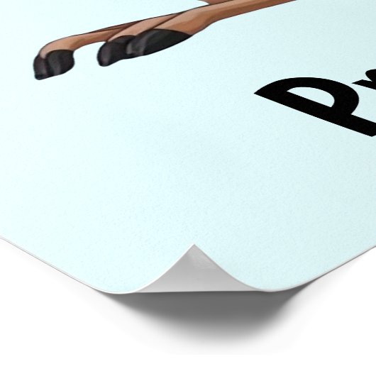 Poster Kangaroo et Koala (Coin)