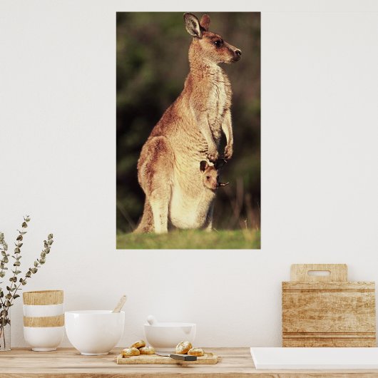 Poster Kangaroo & Joey (Cuisine)