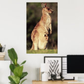 Poster Kangaroo & Joey (Bureau à domicile)