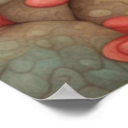 Poster Kangaroo Love 1 (Coin)