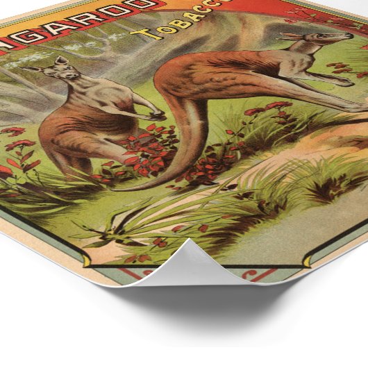 Poster Kangaroo Tobacco 1900 (Coin)