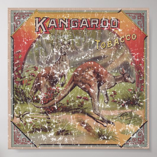 Poster Kangaroo Tobacco 1900 en détresse (Devant)