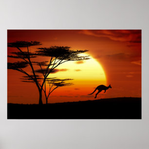 Poster kangourou au coucher du soleil