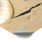 Poster Kangourou rouge en vacances sur le sable (Coin)