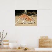 Poster Kangourou rouge en vacances sur le sable (Cuisine)