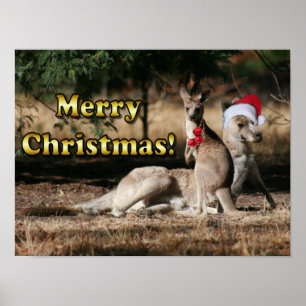 Poster Kangourous australiens de Noël de style