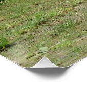 Poster Kanon, (Coin)