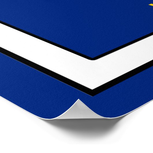 Poster Kansas (Coin)