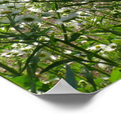 Poster Kansas Meadows et Fleurs sauvages (Coin)