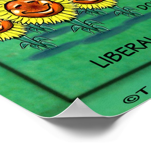 Poster Kansas USA (Coin)