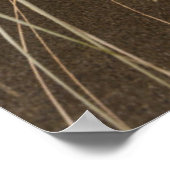 Poster Karekare Beach | Panatahi Island, West Coast (Coin)