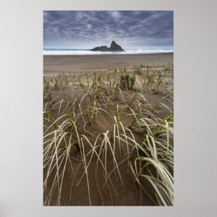 Poster Karekare Beach   Panatahi Island, West Coast
