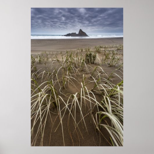 Poster Karekare Beach | Panatahi Island, West Coast (Devant)