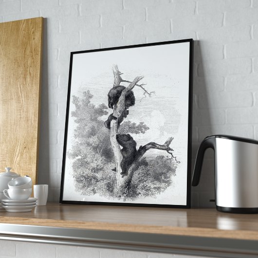 Poster Karl Bodmer, Les Ours (The Bears)