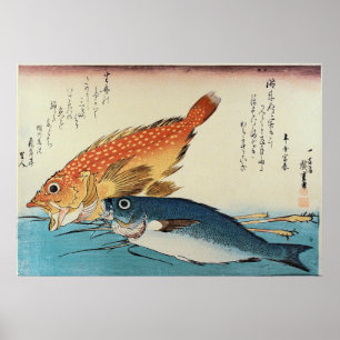Poster Kasogo & Himedai - Estampe japonaise de poissons d
