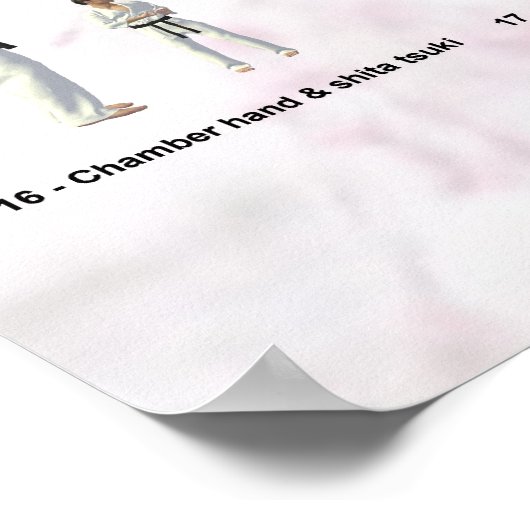 Poster Kata Saifa - Goju Ryu version (Coin)