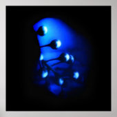 Poster Kate (Devant)