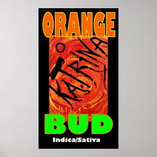 POSTER KATRINA ORANGE BUD (Devant)