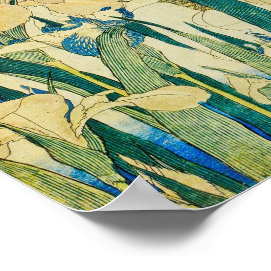 Poster Katsushika Hokusai-Blossoming Irises and Grasshopp (Coin)