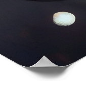 Poster katten (Hoek)