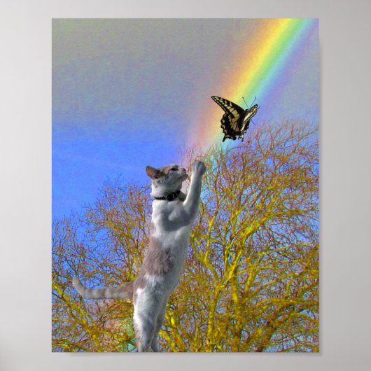 Poster - Kattenjasvlinder (Voorkant)