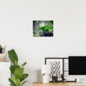 Poster Katydid Grasshopper Insect Close (Bureau à domicile)
