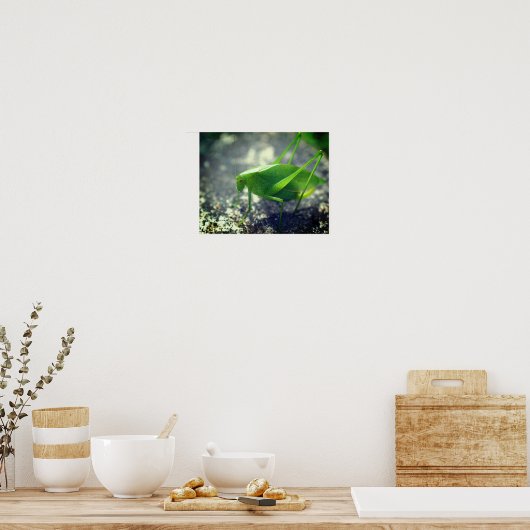 Poster Katydid Grasshopper Insect Close (Cuisine)