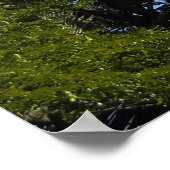 Poster Kauai, Hawaii (Coin)