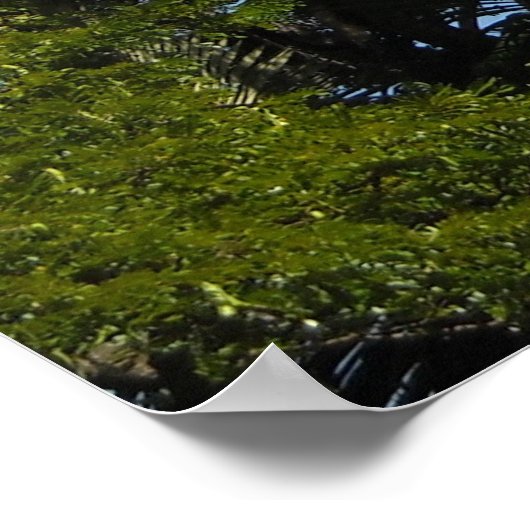 Poster Kauai, Hawaii (Coin)