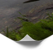 Poster Kayak en bois sur la rive du lac Beaver (Coin)