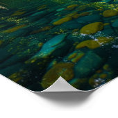 Poster Kayak Jungle (Coin)