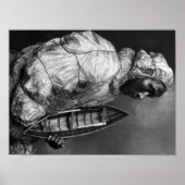 Poster Kayaker portant une veste imperméable à l'eau avec (Devant)