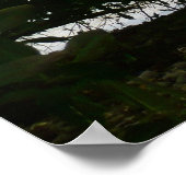 Poster Kayaking aux îles Virgin (Coin)