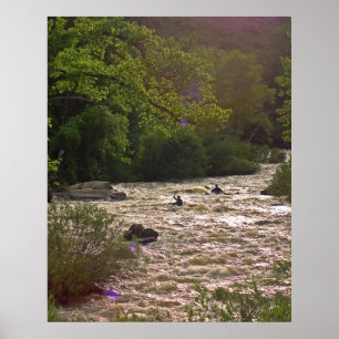 Poster Kayaks d'or de canyon
